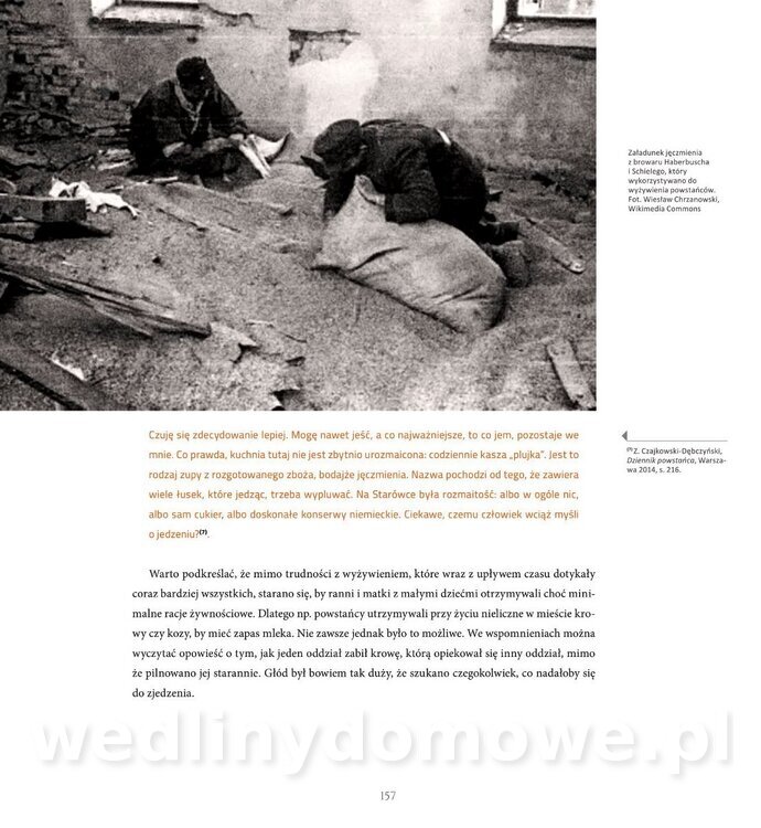 Kotly_i_menazki-159.jpg