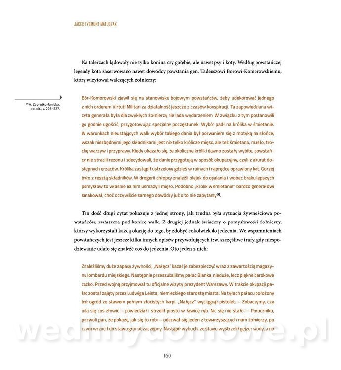 Kotly_i_menazki-162.jpg