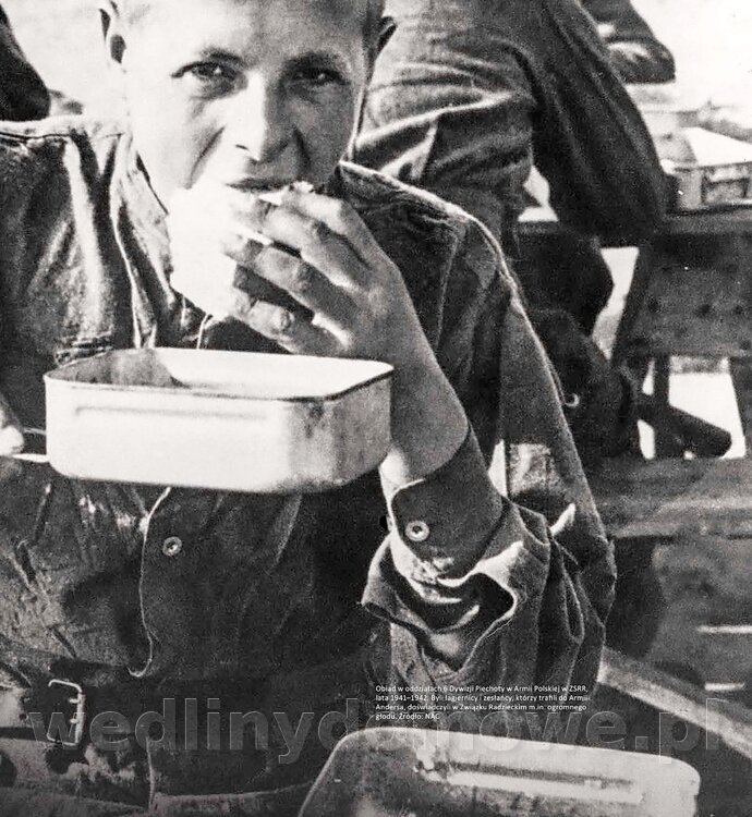 Kotly_i_menazki-167.jpg