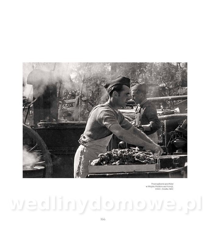 Kotly_i_menazki-168.jpg