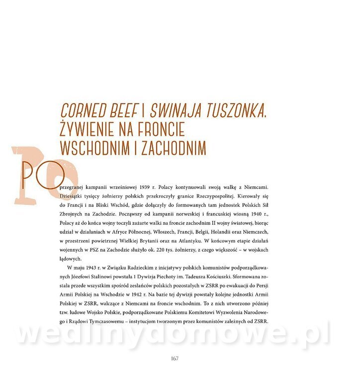 Kotly_i_menazki-169.jpg
