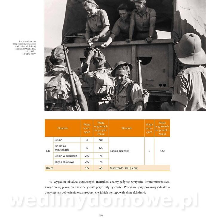 Kotly_i_menazki-178.jpg