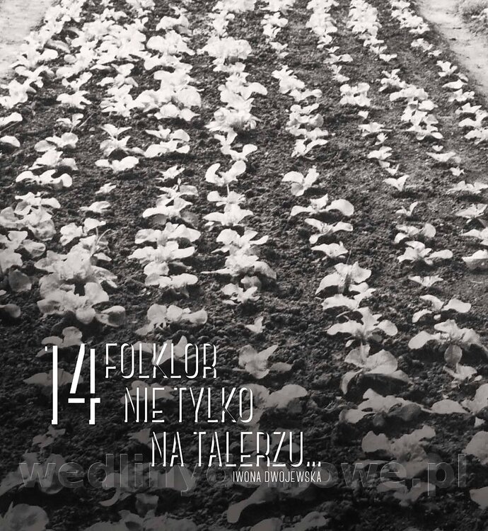 Kotly_i_menazki-190.jpg