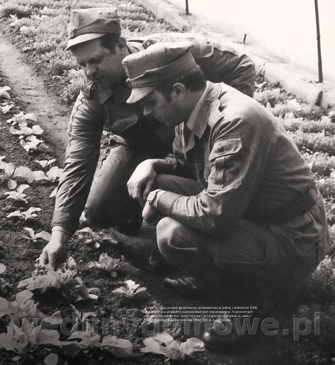 Kotly_i_menazki-191.jpg