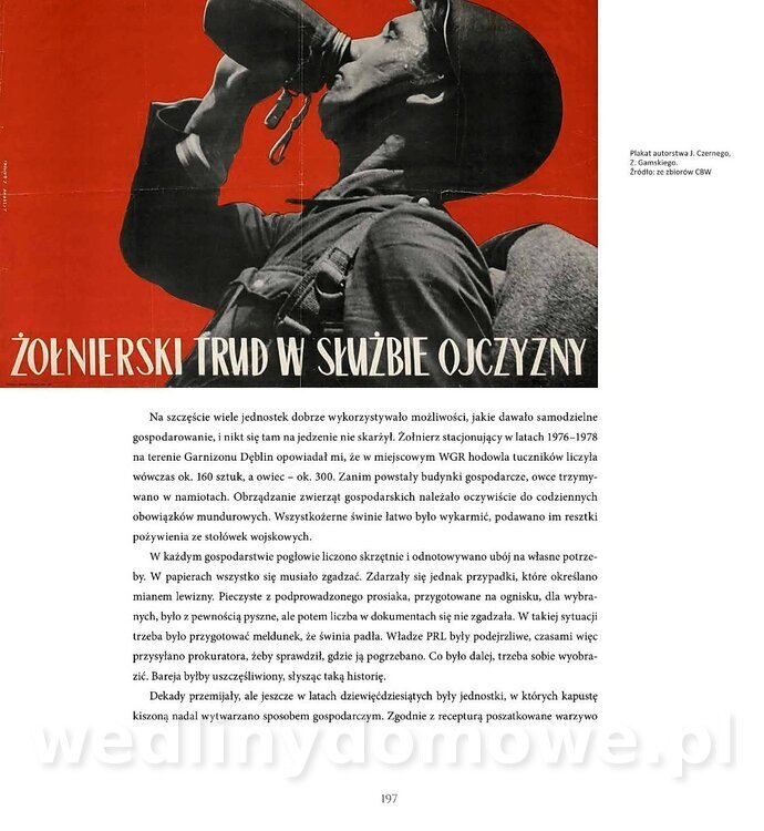Kotly_i_menazki-199.jpg
