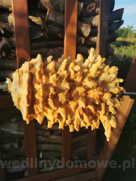 received_233355879698220(1).thumb.jpeg.f8f251c0117a91ae9fa3547545a88b3b.jpeg
