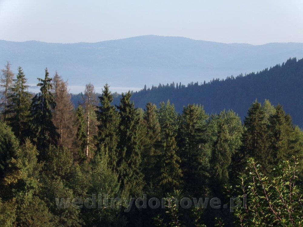 100_0090 (Copy).jpg