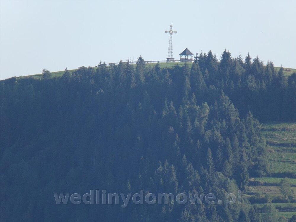 100_0095 (Copy).jpg