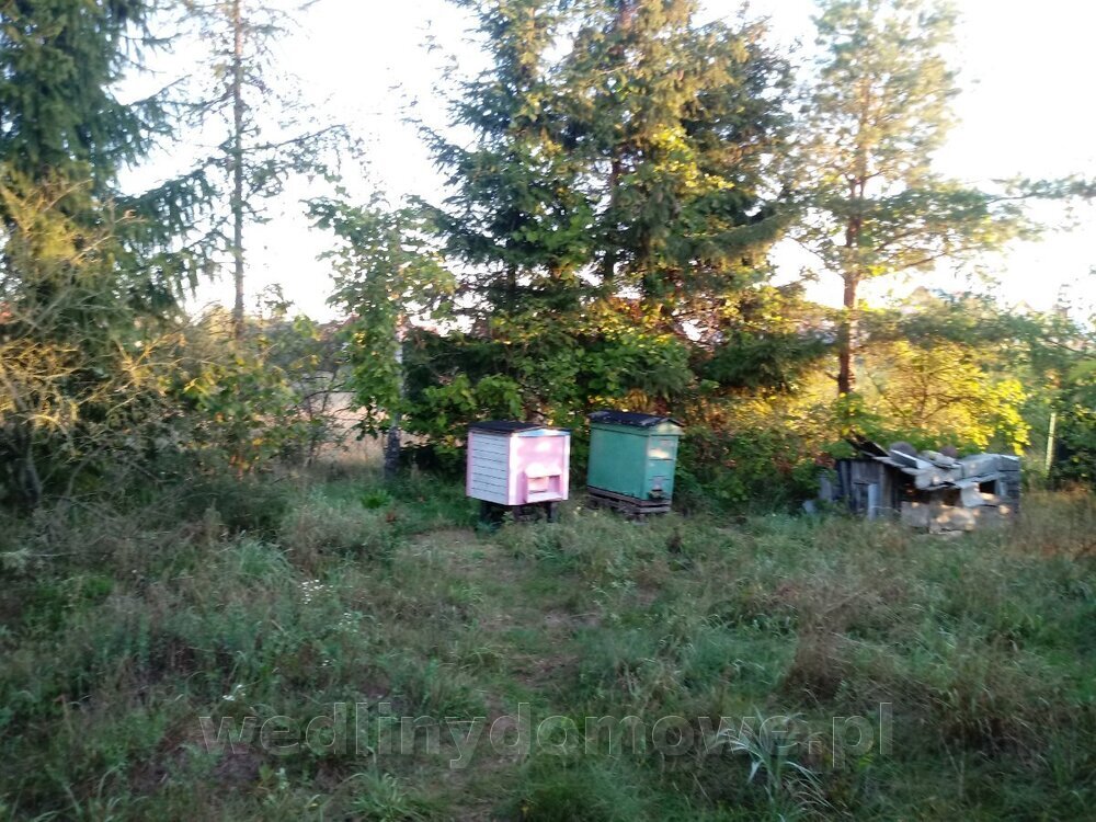 20230916_064419.thumb.jpg.ad6e250a9332b5728c554cd9b05da1eb.jpg