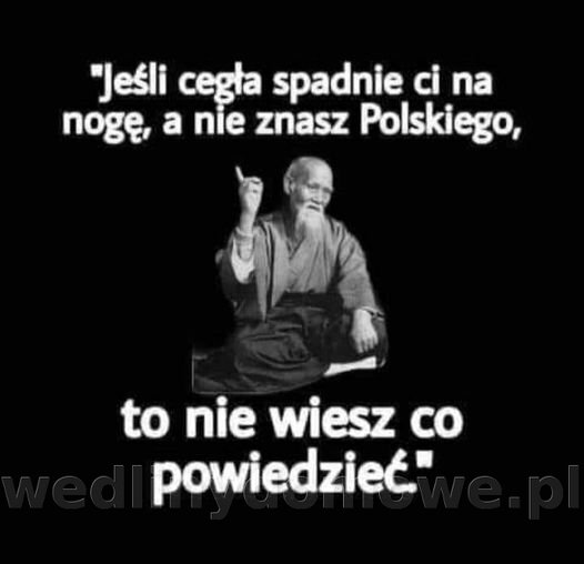 244640264_3201912650055600_6720699050495793630_n.jpg.1d39a1471f62f2cedef34258f7d7ec7d.jpg