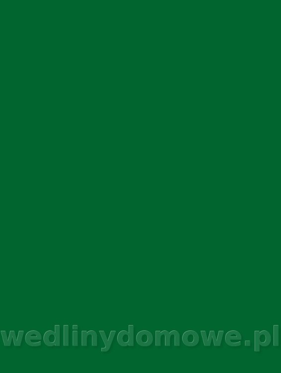 291.jpg