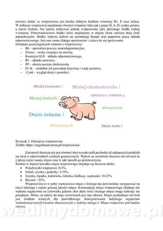 pspz_skrypt_18122022_new_021.jpg