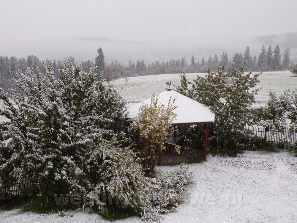 100_0264 (Copy).jpg