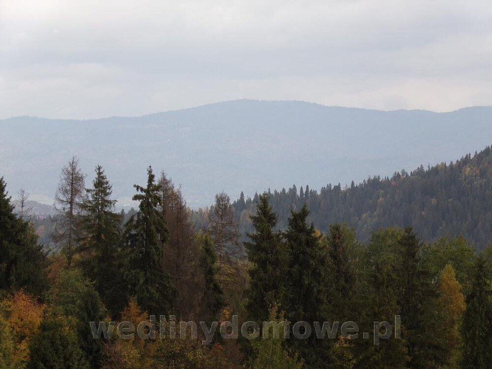 100_0462 (Copy).jpg