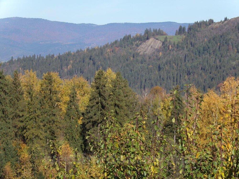 100_0544 (Copy).jpg