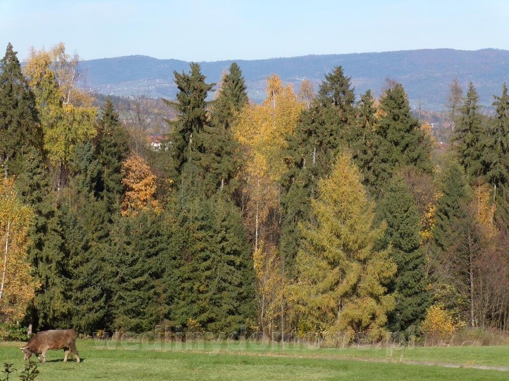 100_0546 (Copy).jpg