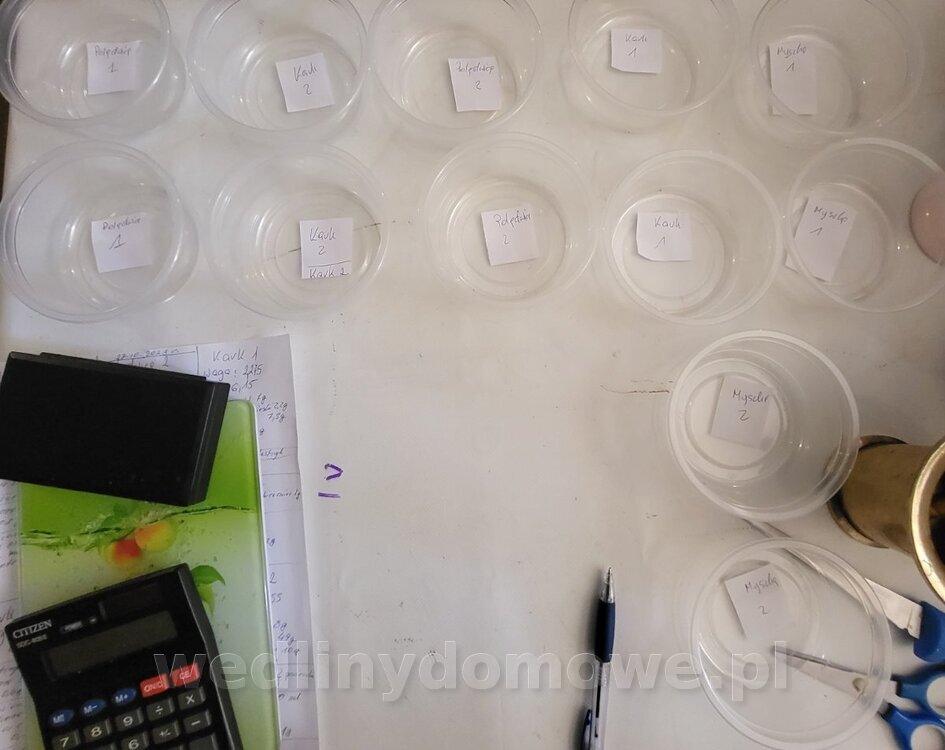 20231028_104409.thumb.jpg.257056794e519f2f4d6deabc65915ec6.jpg