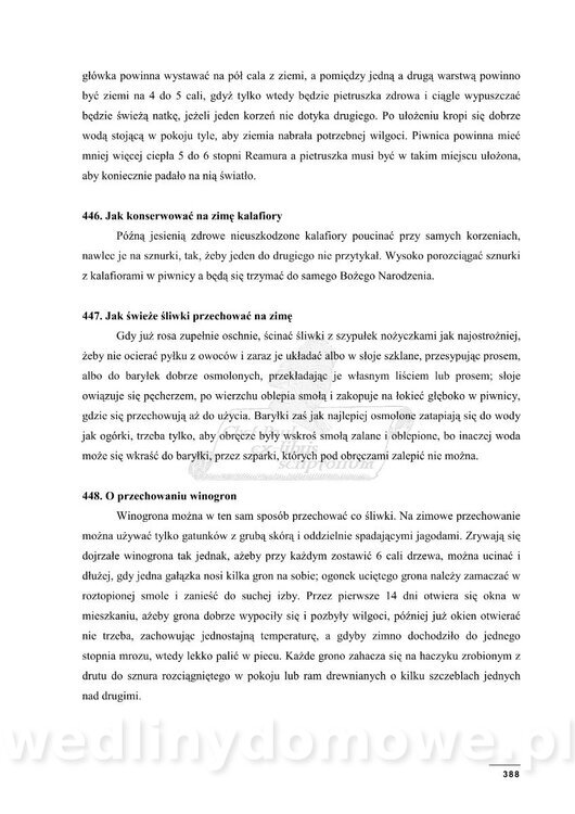 Kucharz polski_388.jpg