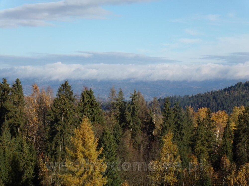 100_0582 (Copy).jpg