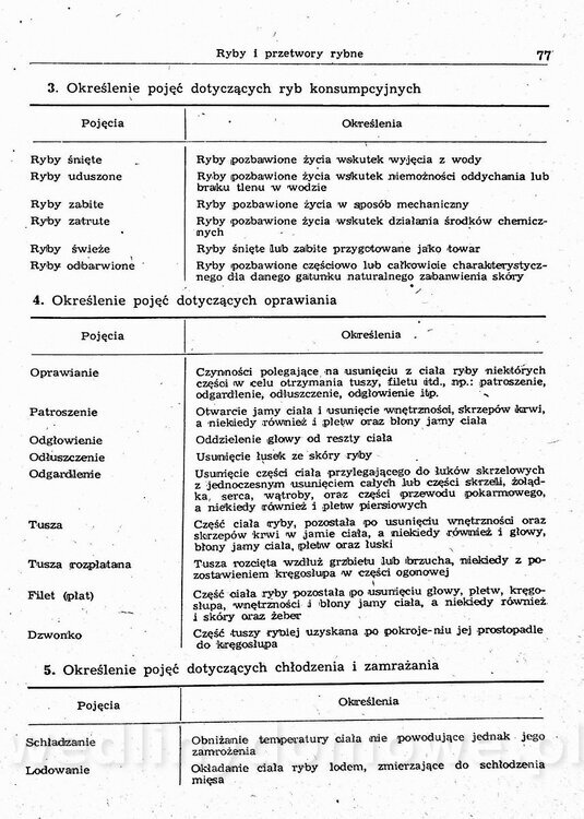 image00088.jpg