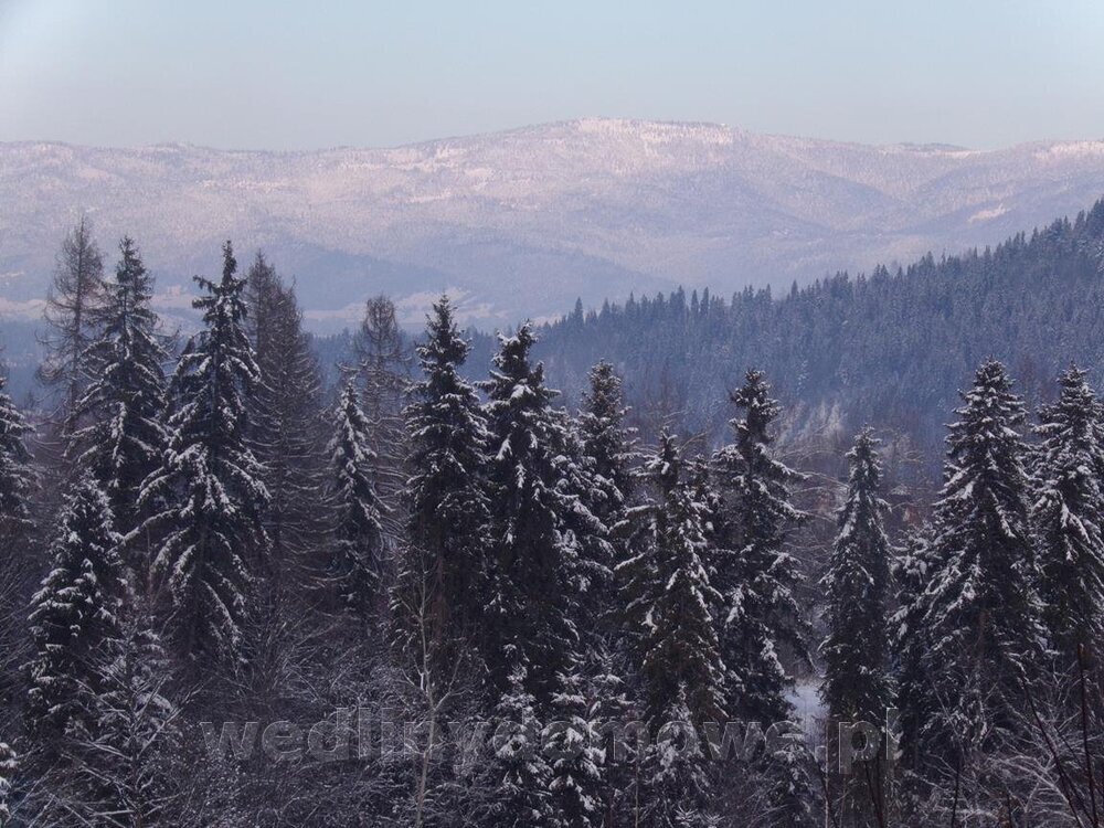 100_0810 (Copy).jpg
