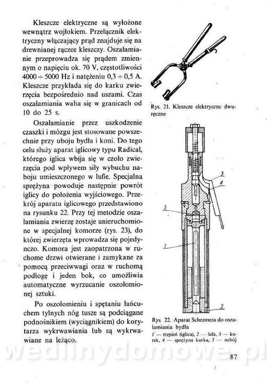 Technologia mięsa z surowcami i aparaturą - Maciejewski_1991__088.jpg