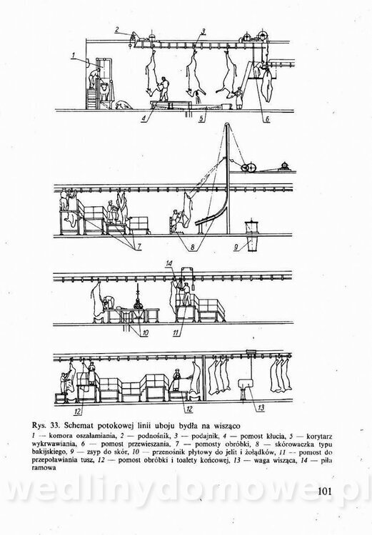 Technologia mięsa z surowcami i aparaturą - Maciejewski_1991__102.jpg