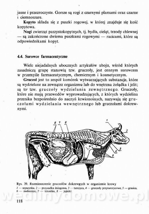 Technologia mięsa z surowcami i aparaturą - Maciejewski_1991__119.jpg