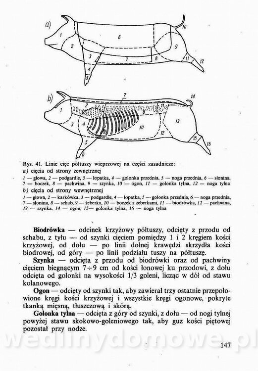 Technologia mięsa z surowcami i aparaturą - Maciejewski_1991__148.jpg