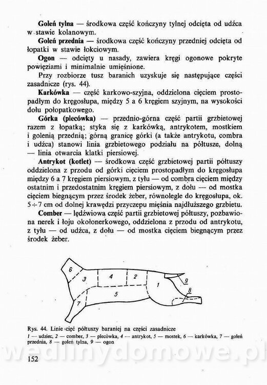 Technologia mięsa z surowcami i aparaturą - Maciejewski_1991__153.jpg