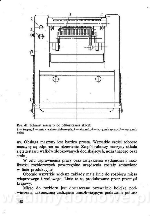 Technologia mięsa z surowcami i aparaturą - Maciejewski_1991__159.jpg