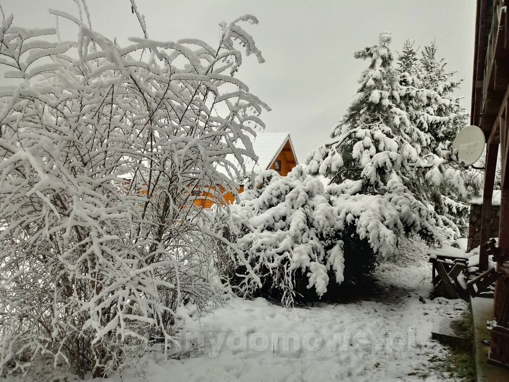 20240102_102008_HDR.thumb.jpg.08427c9ff36b5c27b0b7bdd45576bb04.jpg