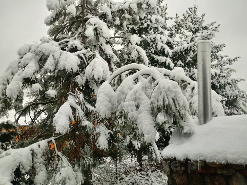 20240102_103047_HDR.thumb.jpg.7d5aea85e91b5b8f259d0168f3891c0c.jpg