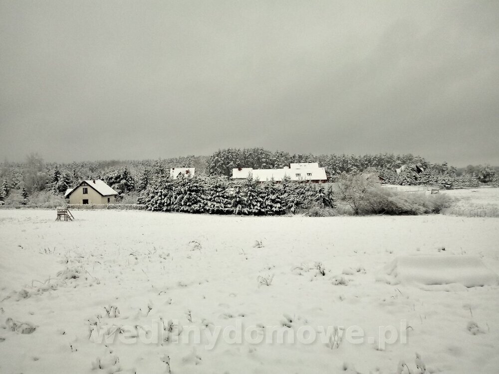 20240102_103153_HDR.thumb.jpg.625e43b45ed771d54641ae4bcd522cb7.jpg