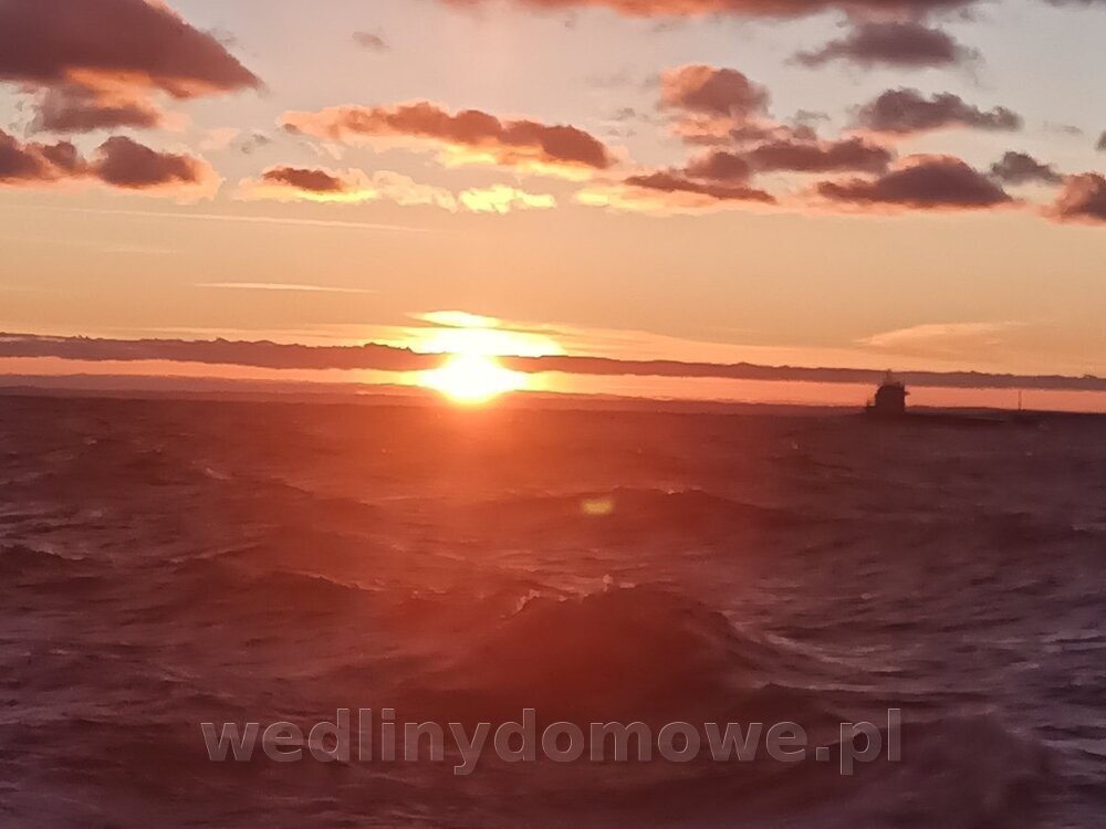 IMG_20240116_154437_793.jpg
