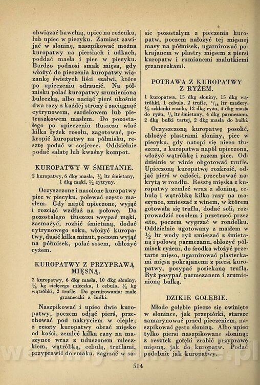 Praktyczny podręcznik kucharstwa_530.jpg