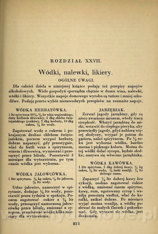 Praktyczny podręcznik kucharstwa_849.jpg