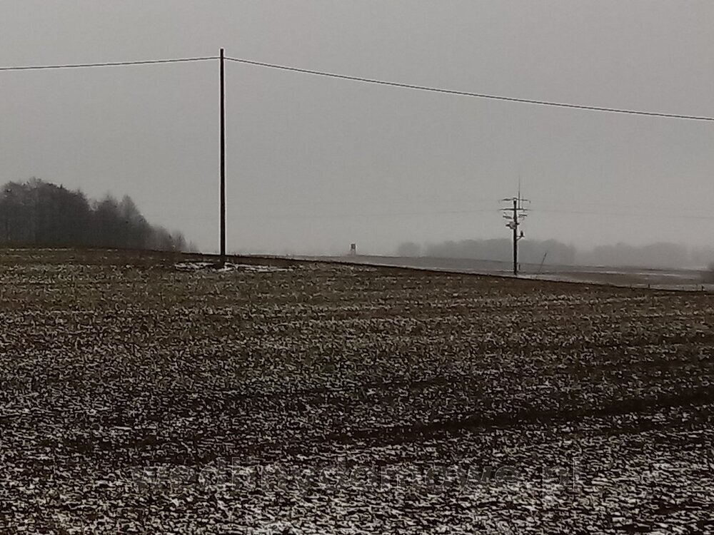 20240206_135027_HDR.thumb.jpg.14b27fb2288ddb8ec8c803a4cb7ca1d4.jpg