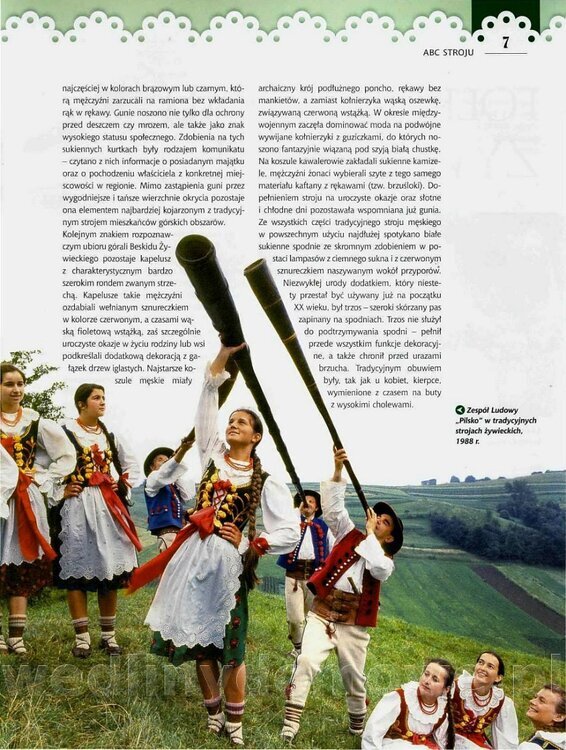 22 Goralka Zywiecka_07.jpg