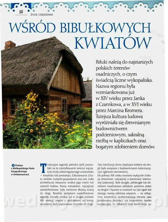 27 Pałuczanka_10.jpg