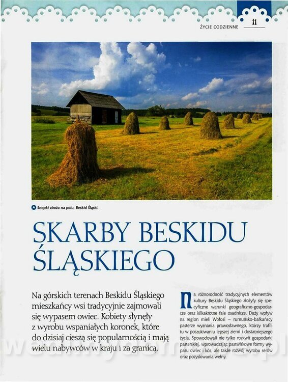 30 Goralka z Beskidu Slaskiego_11.jpg