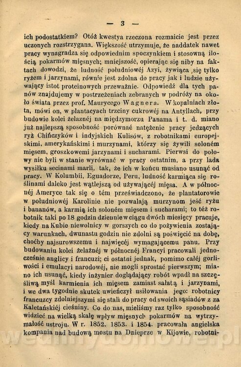 Kremer, Aleksander (1813-1880) - Mięso_12.jpg