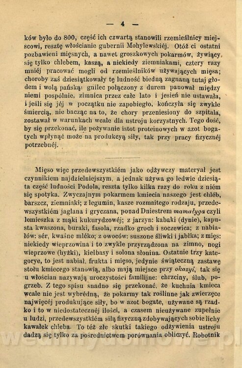 Kremer, Aleksander (1813-1880) - Mięso_13.jpg