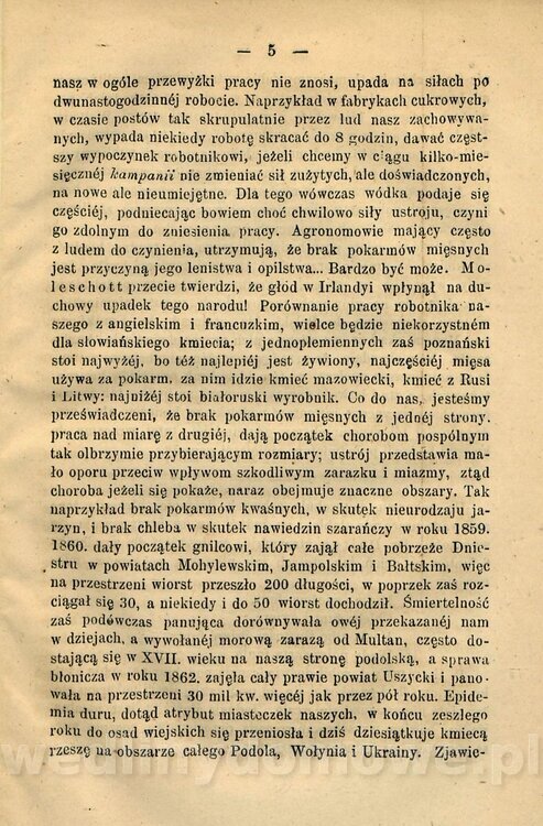 Kremer, Aleksander (1813-1880) - Mięso_14.jpg