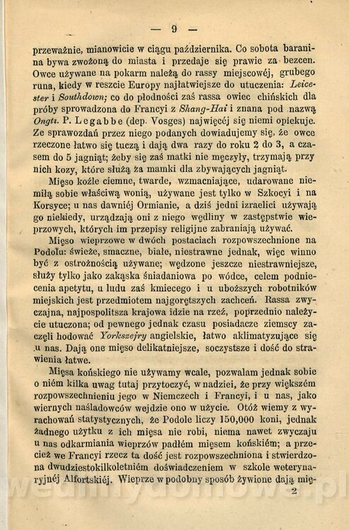 Kremer, Aleksander (1813-1880) - Mięso_18.jpg