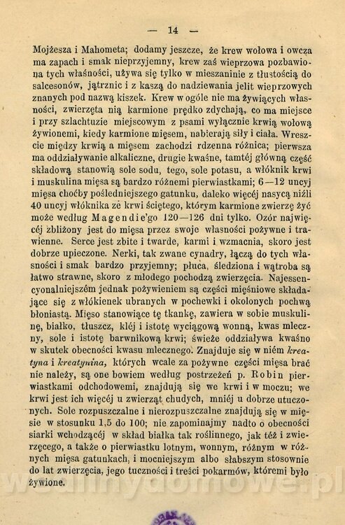 Kremer, Aleksander (1813-1880) - Mięso_23.jpg