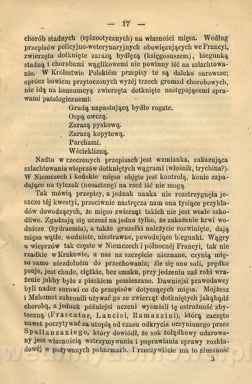 Kremer, Aleksander (1813-1880) - Mięso_26.jpg