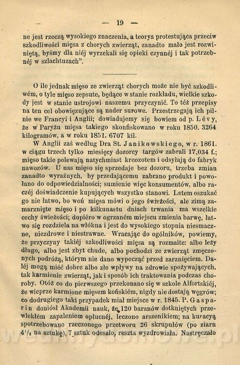 Kremer, Aleksander (1813-1880) - Mięso_27a.jpg