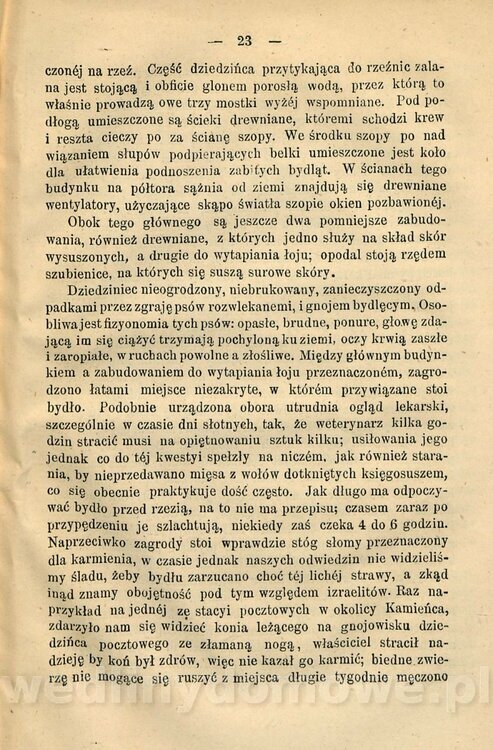 Kremer, Aleksander (1813-1880) - Mięso_32.jpg