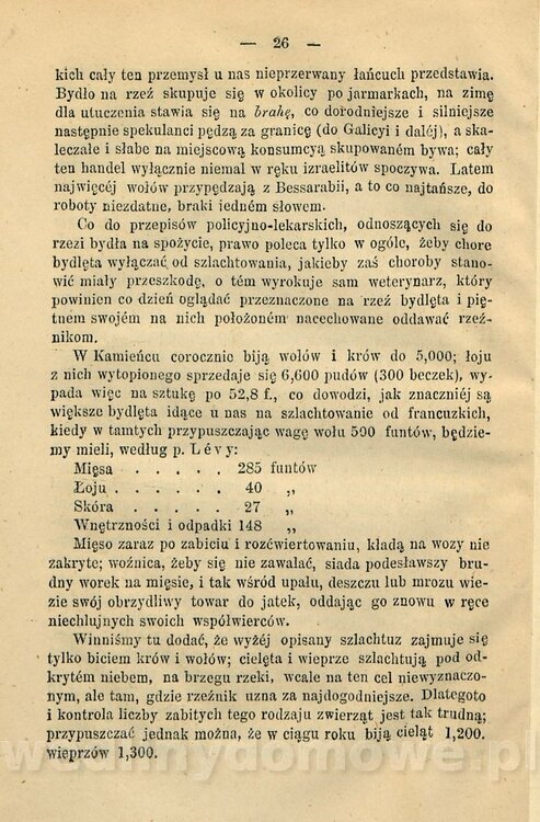 Kremer, Aleksander (1813-1880) - Mięso_35.jpg